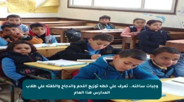 وجبات ساخنة.. تعرف على خطة توزيع اللحم والدجاج والكفتة على طلاب المدارس هذا العام